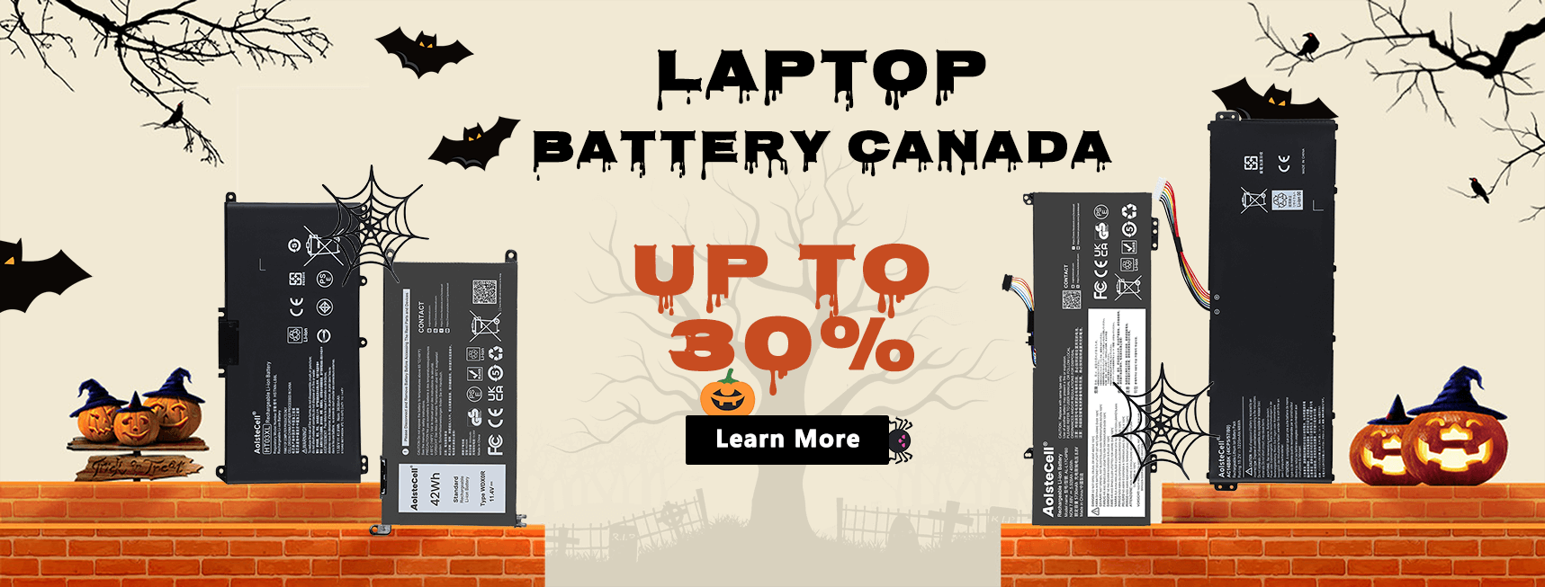 Canada Laptop Battery Replacement